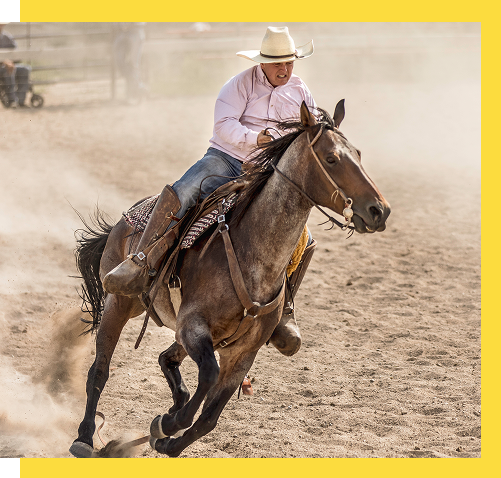 Cowboy on a horse